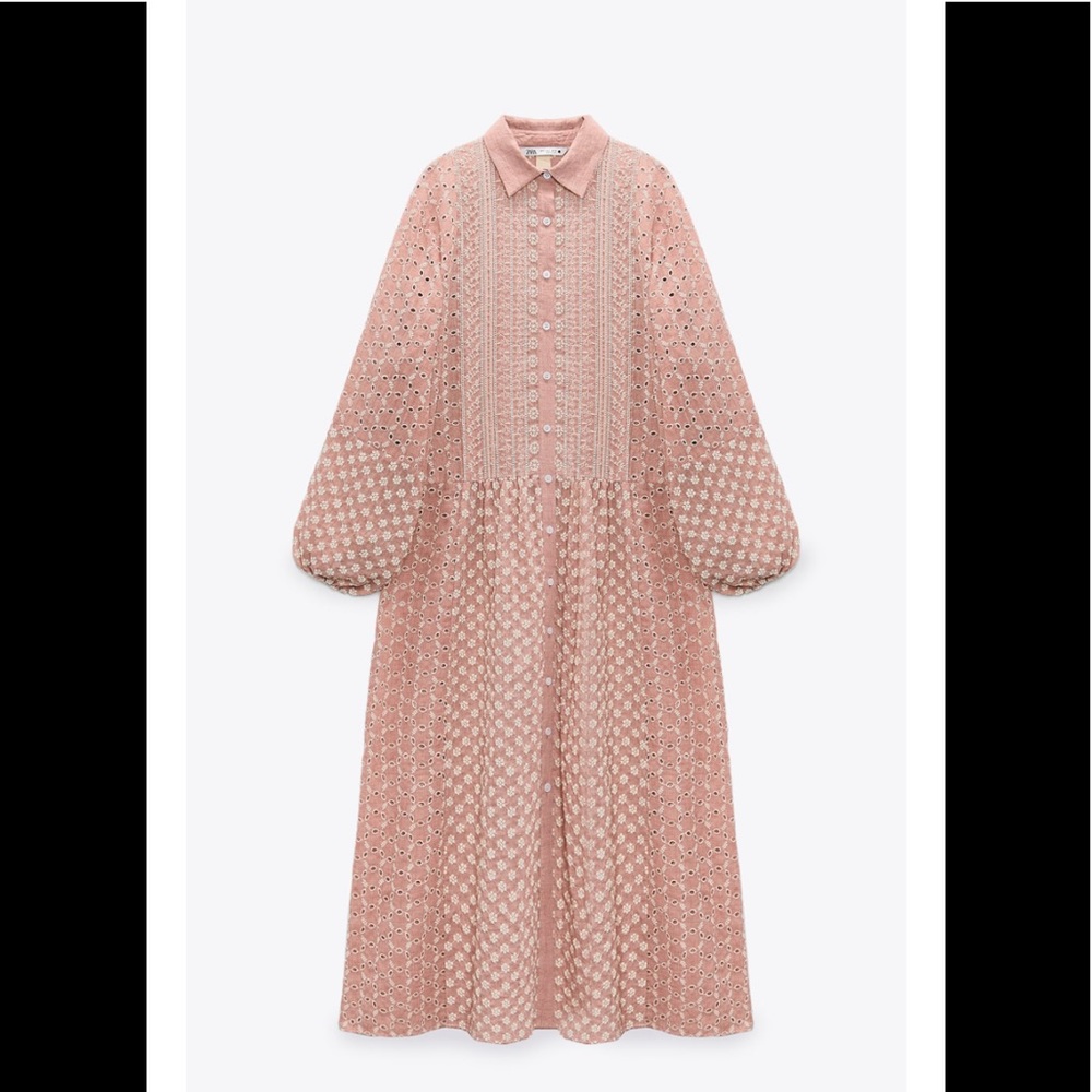 BLOGGER FAV Zara Dress embroidered midi dress - Picture 3 of 5